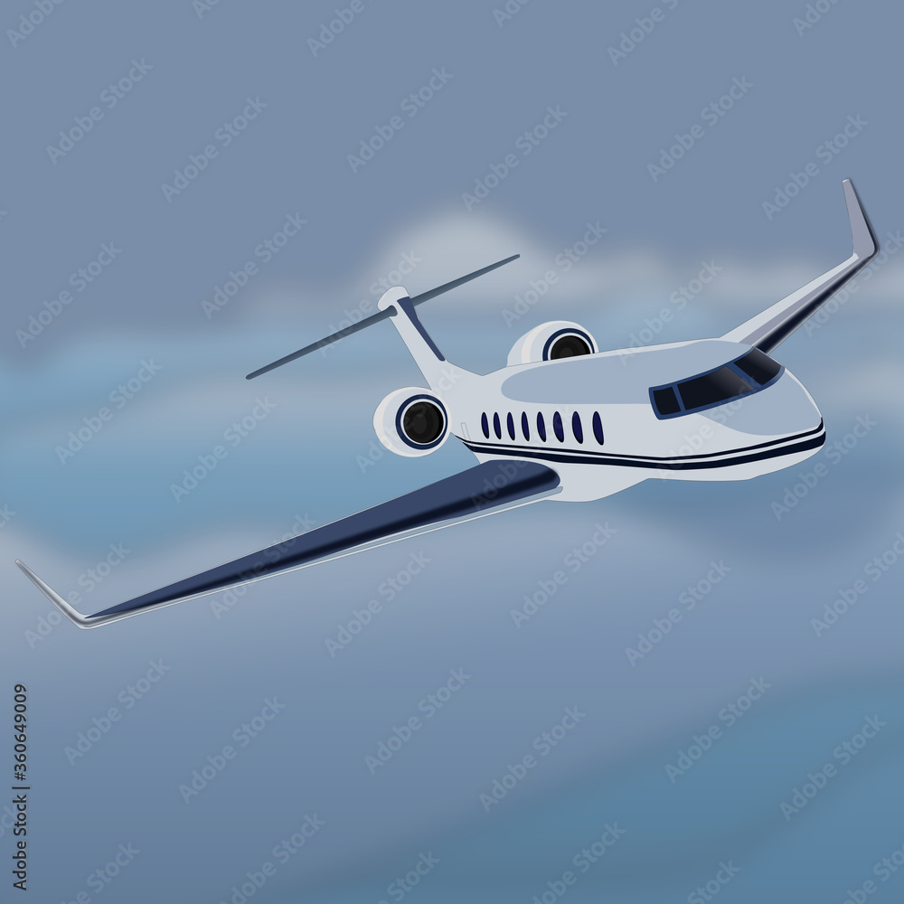 Naklejka premium Business Jet Aircraft in flight