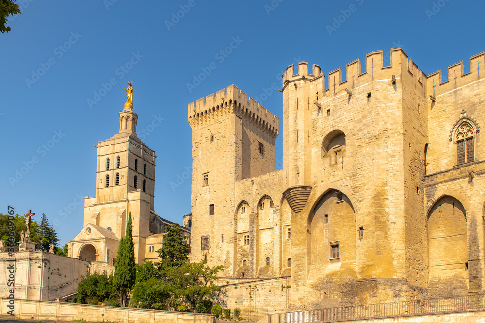 Avignon, the « palais des papes », beautiful monument in the south of France