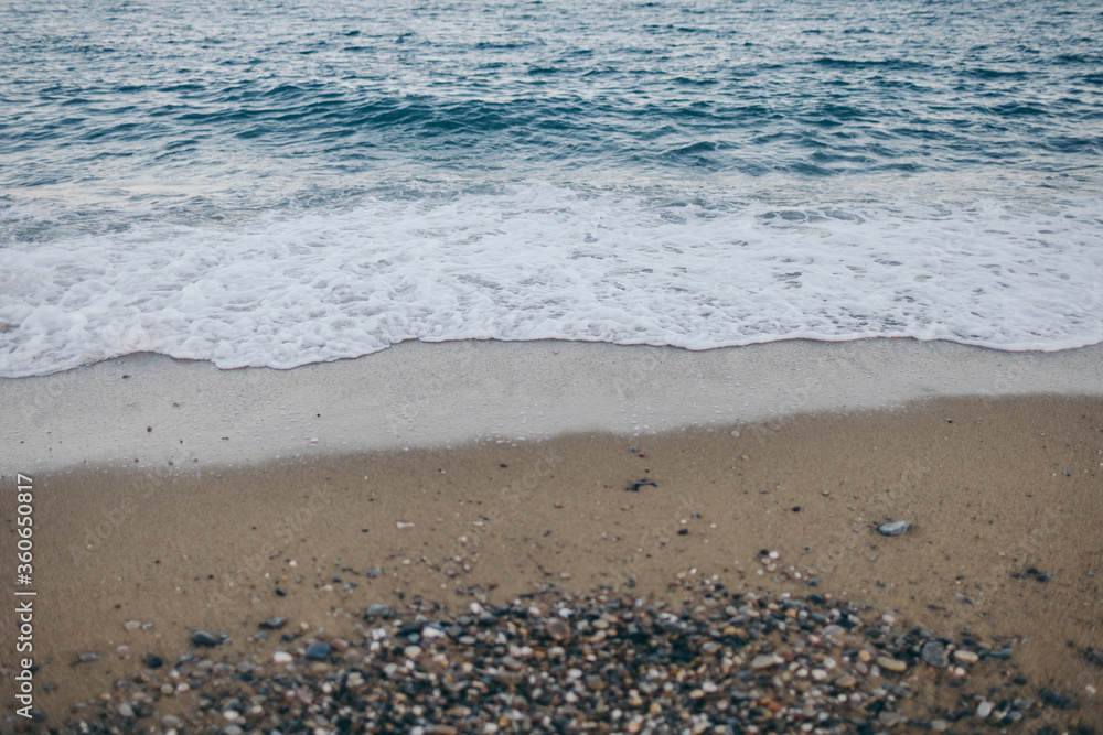 A bird standing on top of a sandy beach A bird standing on top of a sandy beach