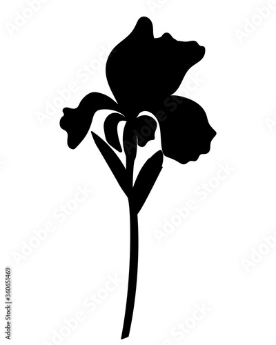 Black silhouette of a large iris flower with leaves, bud and stem - stock illustration. Iris - black silhouette for a logo or pictogram.