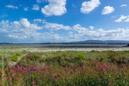 Foto View from Poolberg beach at low tide