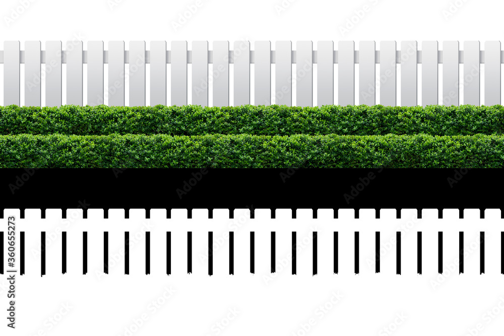 White fence White fence