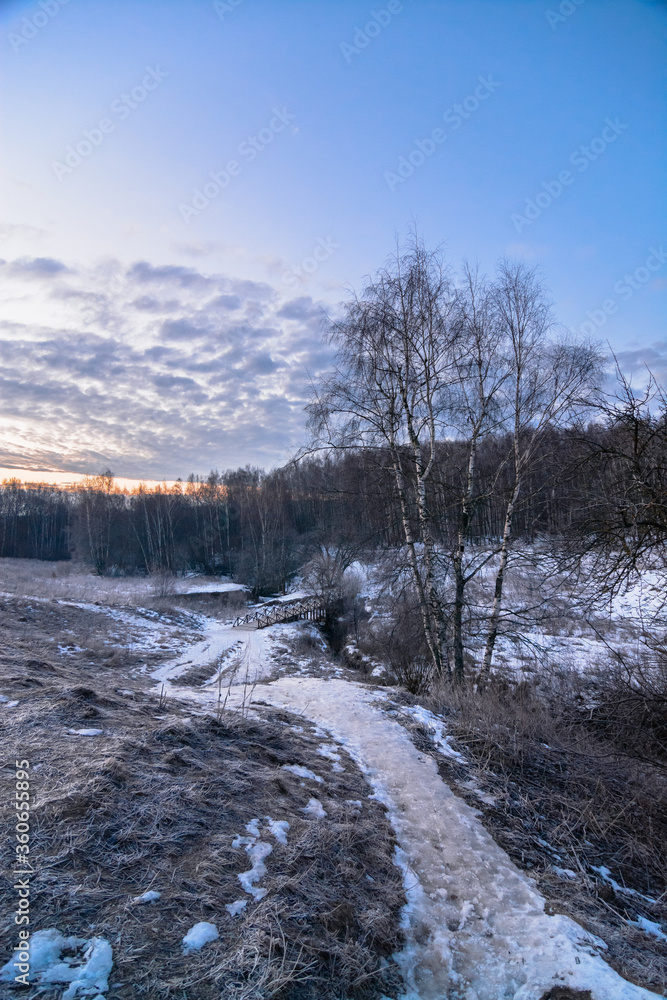 Path in Moscow park while snowless winter Path in Moscow park while snowless winter