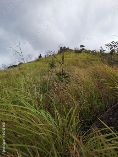 Peak of Broga hill with tall grasses and windy day bring the clouds all over the hill. Broga hill located in Semenyih, Selangor, Malaysia