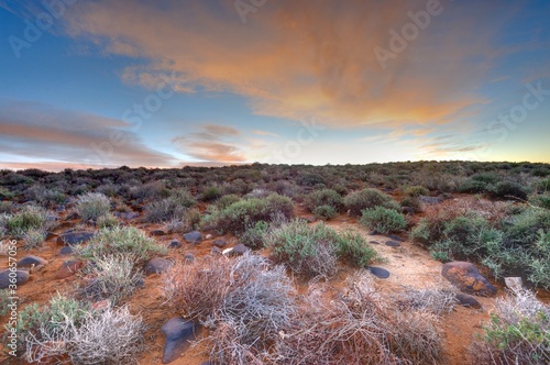 VIEW OF THE TANKWA KAROO  in a time of drought photo