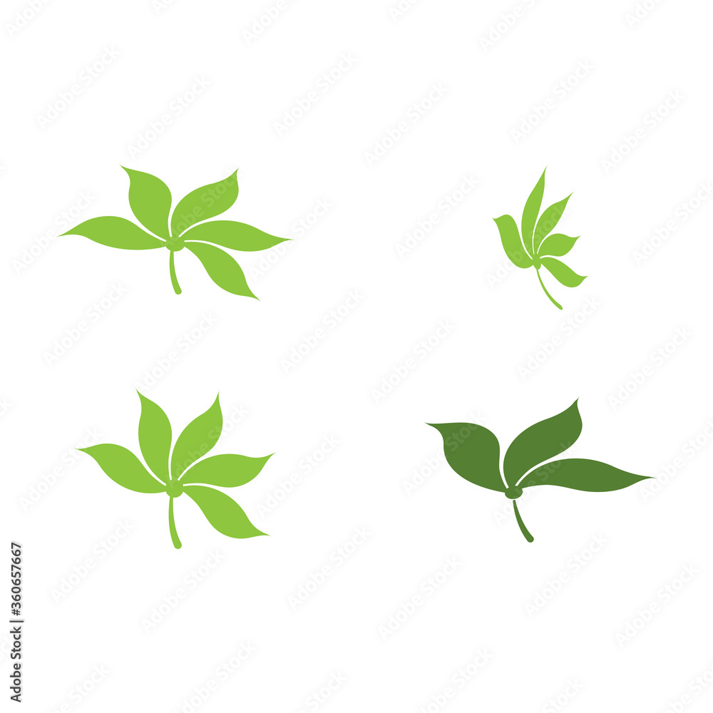 Set Leaf Logo Template vector Set Leaf Logo Template vector