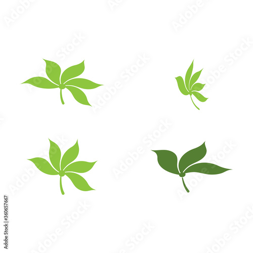 Set Leaf Logo Template vector © evandri237@gmail