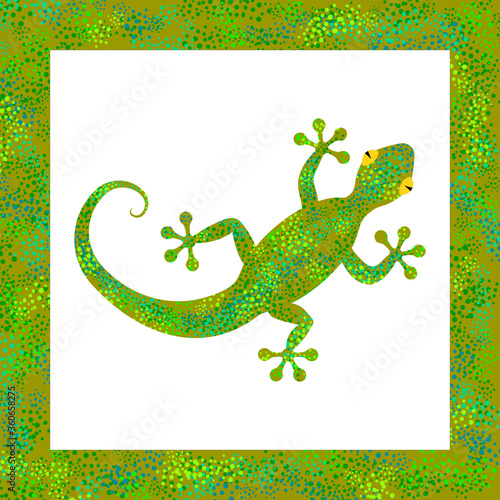 Cute gecko lizard with green scale textured skin, isolated on white, in textured frame