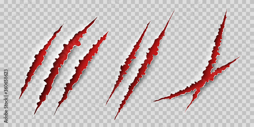 Claws scratches. Wild animal claws scratch texture with red background. Horror, thriller , halloween monster vector scratched marked isolated