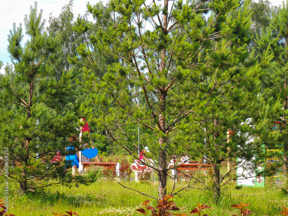 Fototapeta premium parks and nature.children's playgrounds are surrounded by greenery.