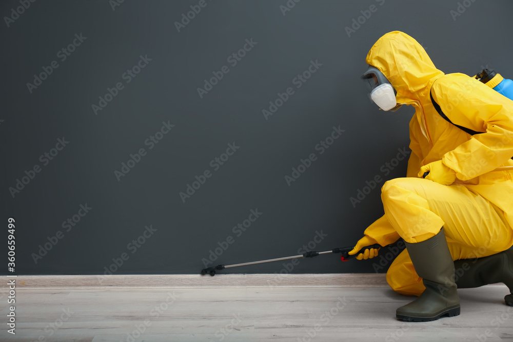Obraz premium Pest control worker in protective suit spraying pesticide near black wall indoors. Space for text