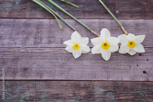 Beautiful white daffodil flowers lie on a wooden table. Close-up.
