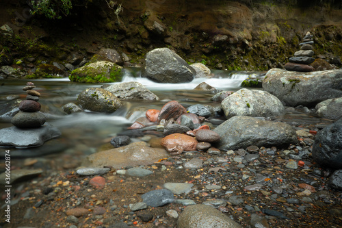 Dschungel im Tongariro National Park Neuseeland / Jungle New Zealand