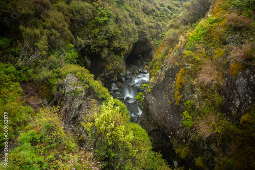 Luftbild Dschungel im Tongariro National Park Neuseeland / Jungle New Zealand