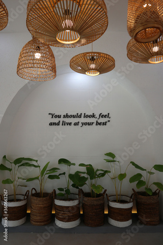 Aesthetic interior. Row of green plants on rope basket made out of water hyacinth with white wall with inspirational quote on the background and circle bamboo hanging lamp decoration