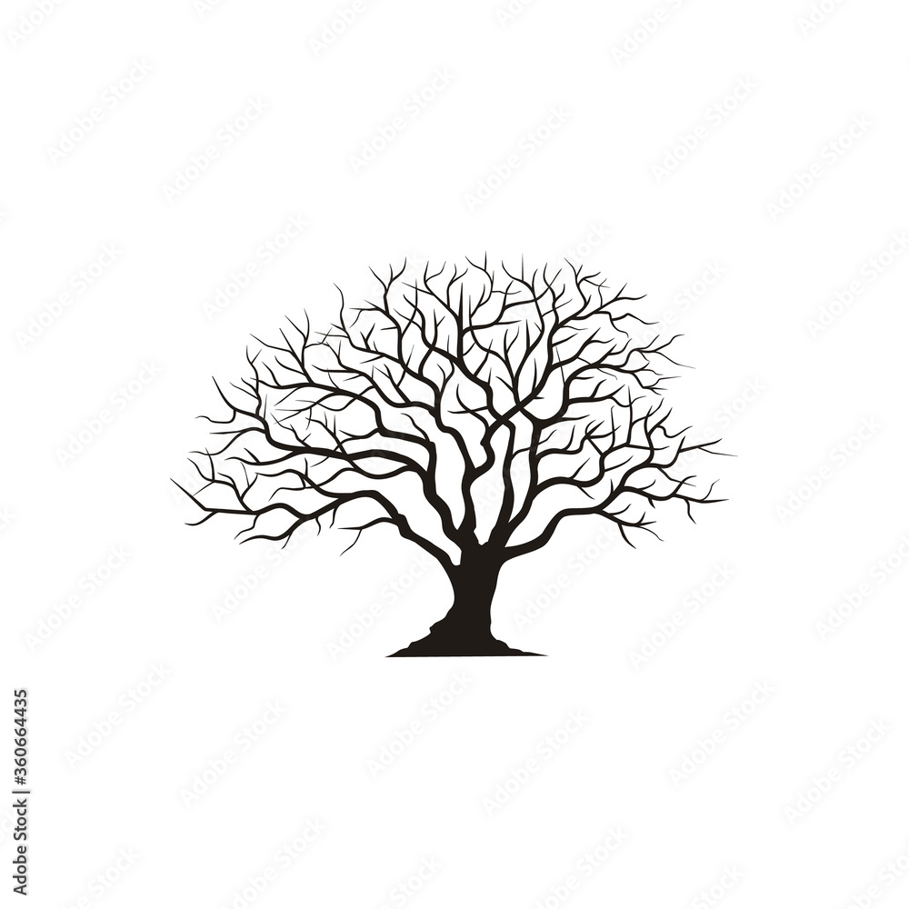 Obraz premium Dry Dead Oak Maple Banyan Cedar Tree Silhouette illustration logo design 