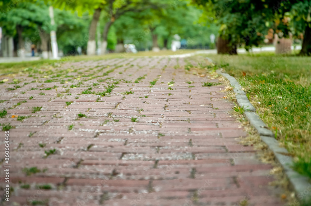 old track in the park old track in the park