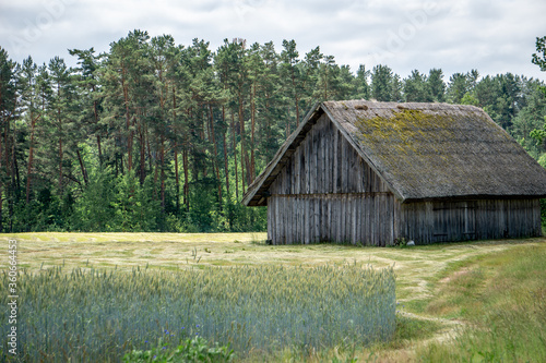 old barn in the field