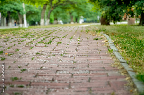 old track in the park