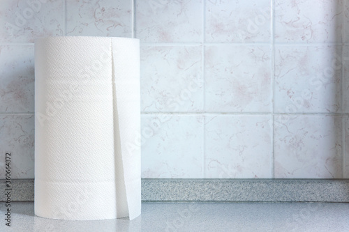 Kitchen paper with copy space. Roll of paper towels photo