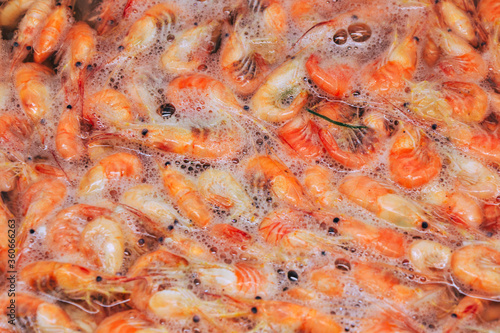 Shrimps background. Palaemon elegans european rockpool shrimp. Fresh prawn. Seafood background.