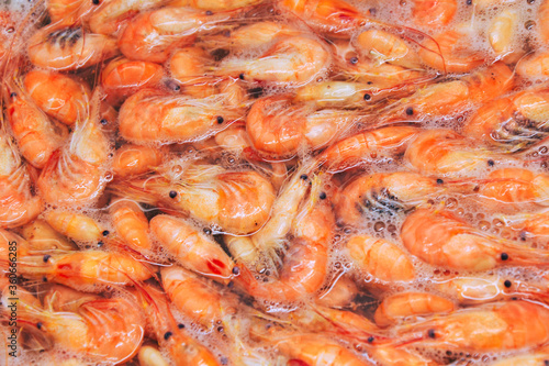 Shrimps background. Palaemon elegans european rockpool shrimp. Fresh prawn. Seafood background.