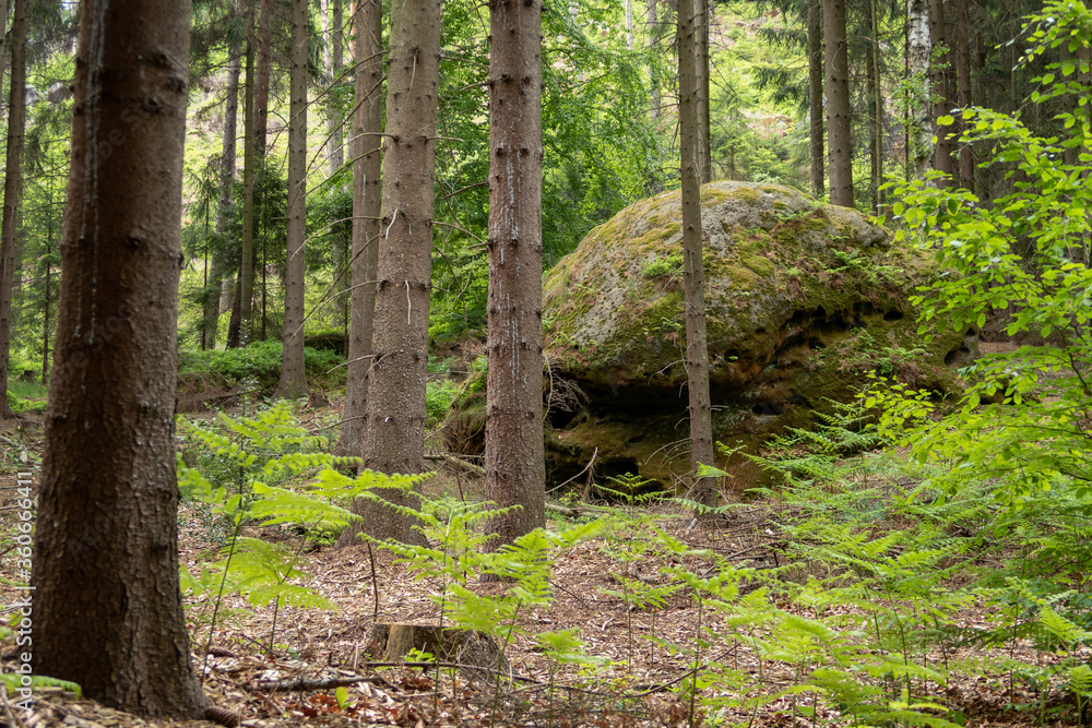 Elbsandsteingebirge in Sachsen (Sächsische Schweiz) Elbsandsteingebirge in Sachsen (Sächsische Schweiz)