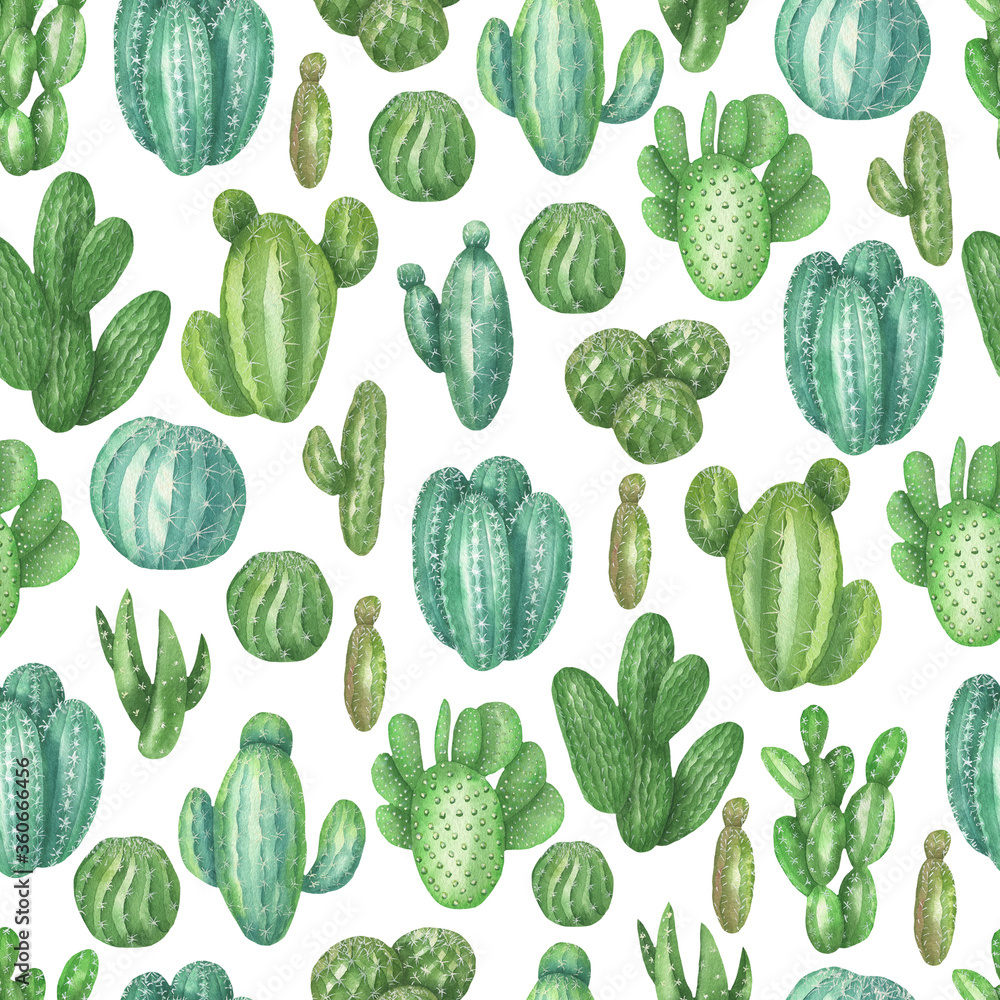 Pattern of cacti Pattern of cacti