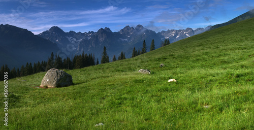 Panorama z Rusinowej Polana na Gerlach, Wysoką i Rysy