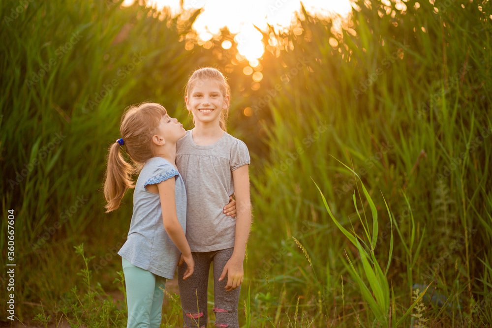 Fototapeta premium Cute little sisters hugging and kissing in summer park