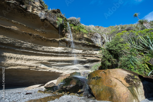 Truman Track (Punakaiki) auf Neuseelands Südinsel