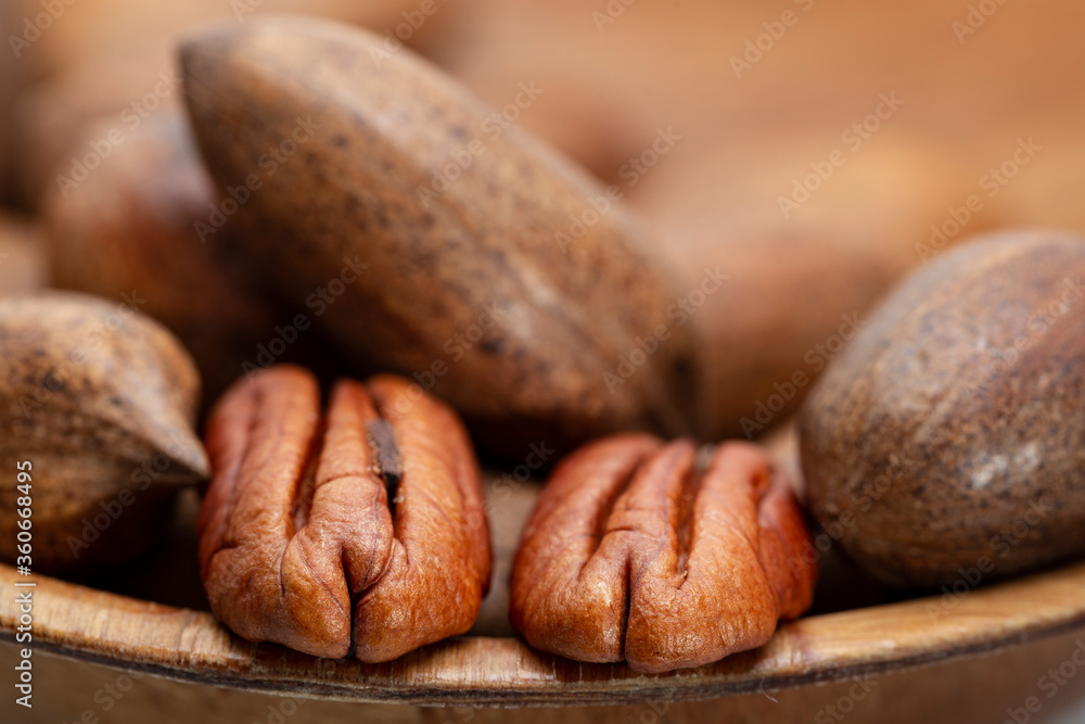 Pecan (Carya illinoinensis) is a species of hickory native to northern Mexico. The seed is an edible nut. Pecan (Carya illinoinensis) is a species of hickory native to northern Mexico. The seed is an edible nut.