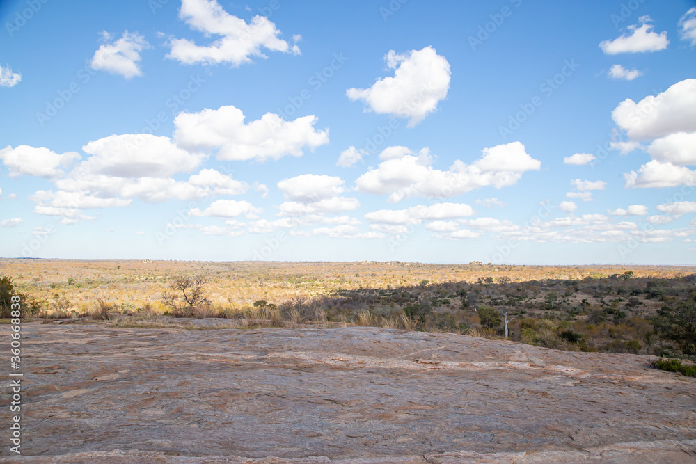 landscape with a rock surface and African grass at black with trees and blue skies with clouds out of focus with grain