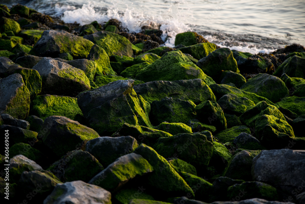 rocks in the sea rocks in the sea