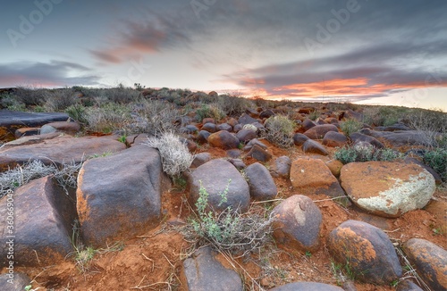 Canvas Print TYPICAL KAROO  VEGETATION in the Tankwa Karoo National Park