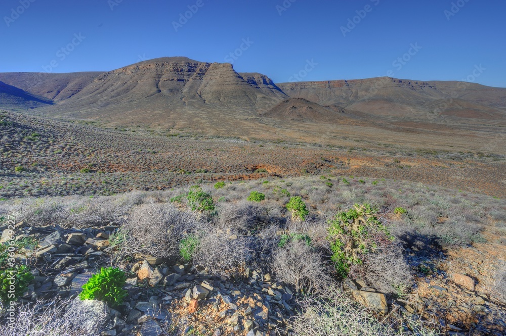 Tankwa Karoo National Park, Northern Cape, South Africa showing typical scenery and vegetation