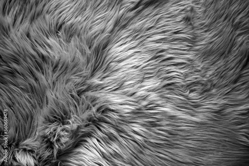 Foto Full frame sectional close-up view of a soft gray faux longhair fur rug
