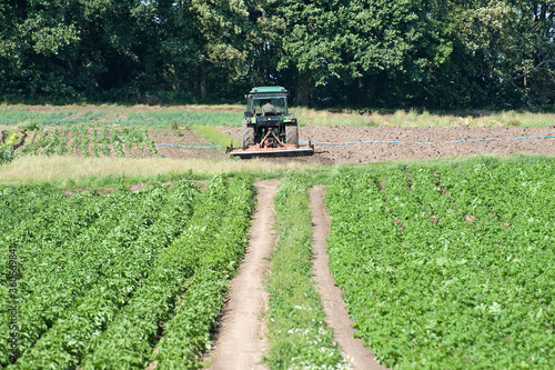 irrigating food crops on small holding