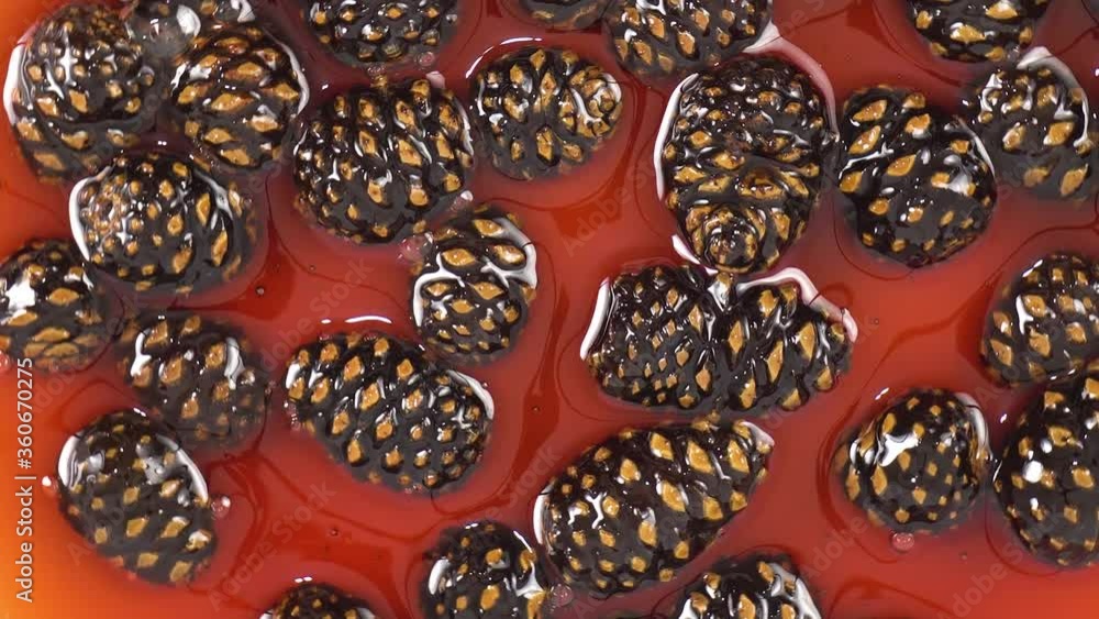 Close up view, macro shot. Pine cone jam, the plate rotates. Homemade dessert. Tasty and healthy jam. White background, isolated. Close up view, macro shot. Pine cone jam, the plate rotates. Homemade dessert. Tasty and healthy jam. White background, isolated.