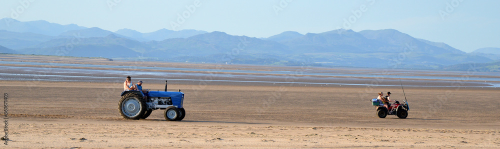 Cockel Pickers on beach with Blue tractor and quad bike, Sandscale Haws, near Barrow in Furness, Cumrbia, England, UK Cockel Pickers on beach with Blue tractor and quad bike, Sandscale Haws, near Barrow in Furness, Cumrbia, England, UK