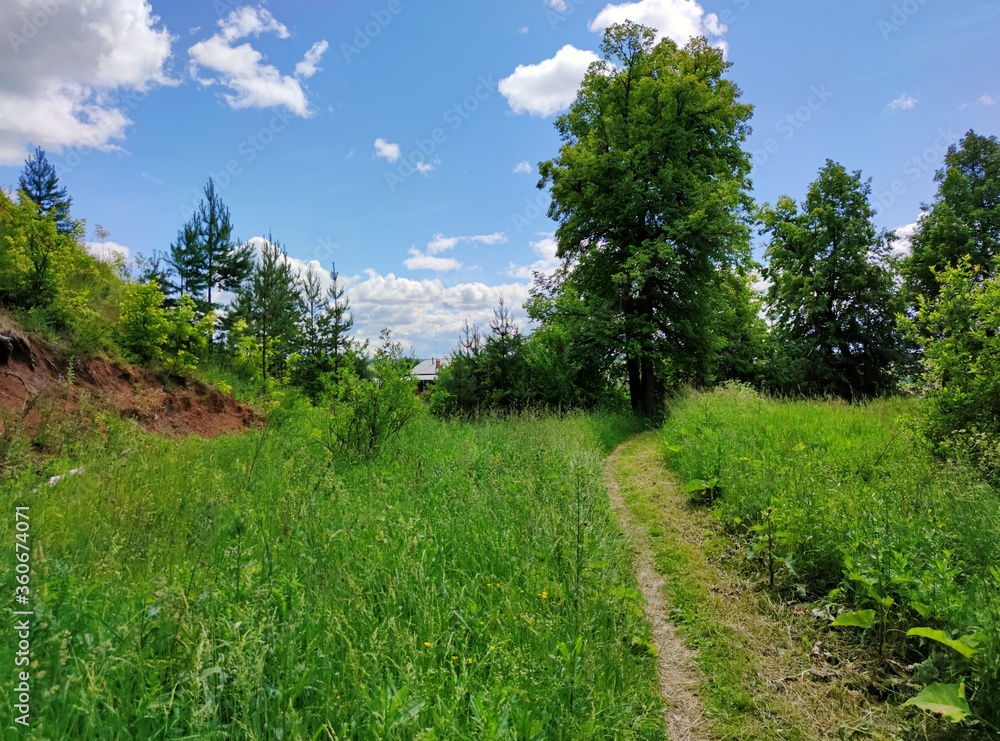 path near a slope among green grass and trees on a sunny day against a blue sky path near a slope among green grass and trees on a sunny day against a blue sky