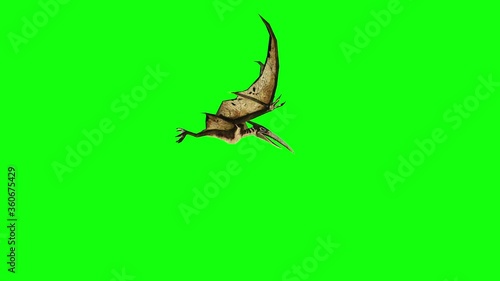 pterodactyl fly 3d animation. green screen 4k footage.