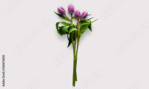 Tulips flower bouquet on a white background