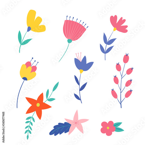 Set of flowers. Vector illustration isolated on a white background.Decorative objects for cards  invitations or poster.