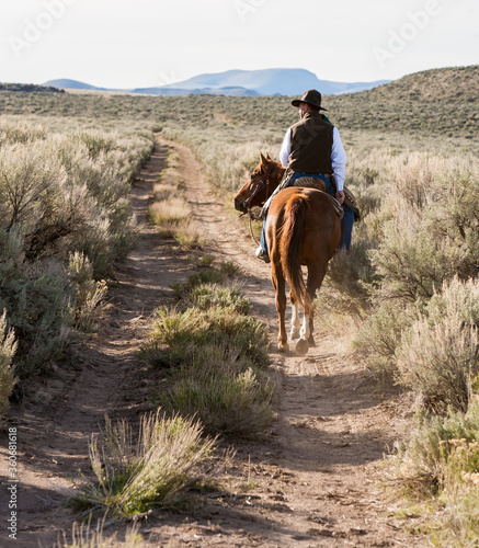 Silver Lake, Oregon - 5/13/2009:  A cowboy searching for cattle in a sage brush desert pasture on the  ZX ranch near Silver Lake. © Bob