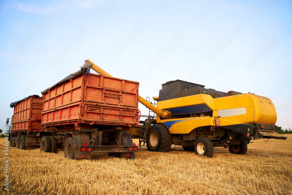 Overloading grain from the combine harvesters into a grain truck in the field. Harvester unloder pouring just harvested wheat into grain box body. Farmers at work. Agriculture harvesting season theme. Overloading grain from the combine harvesters into a grain truck in the field. Harvester unloder pouring just harvested wheat into grain box body. Farmers at work. Agriculture harvesting season theme.
