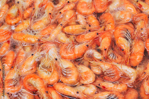 Shrimps background. Palaemon elegans european rockpool shrimp. Fresh prawn. Seafood background.