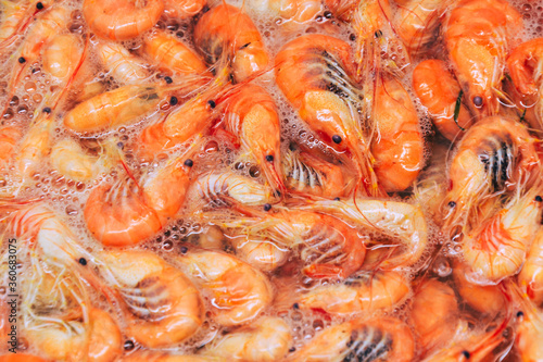 Shrimps background. Palaemon elegans european rockpool shrimp. Fresh prawn. Seafood background.