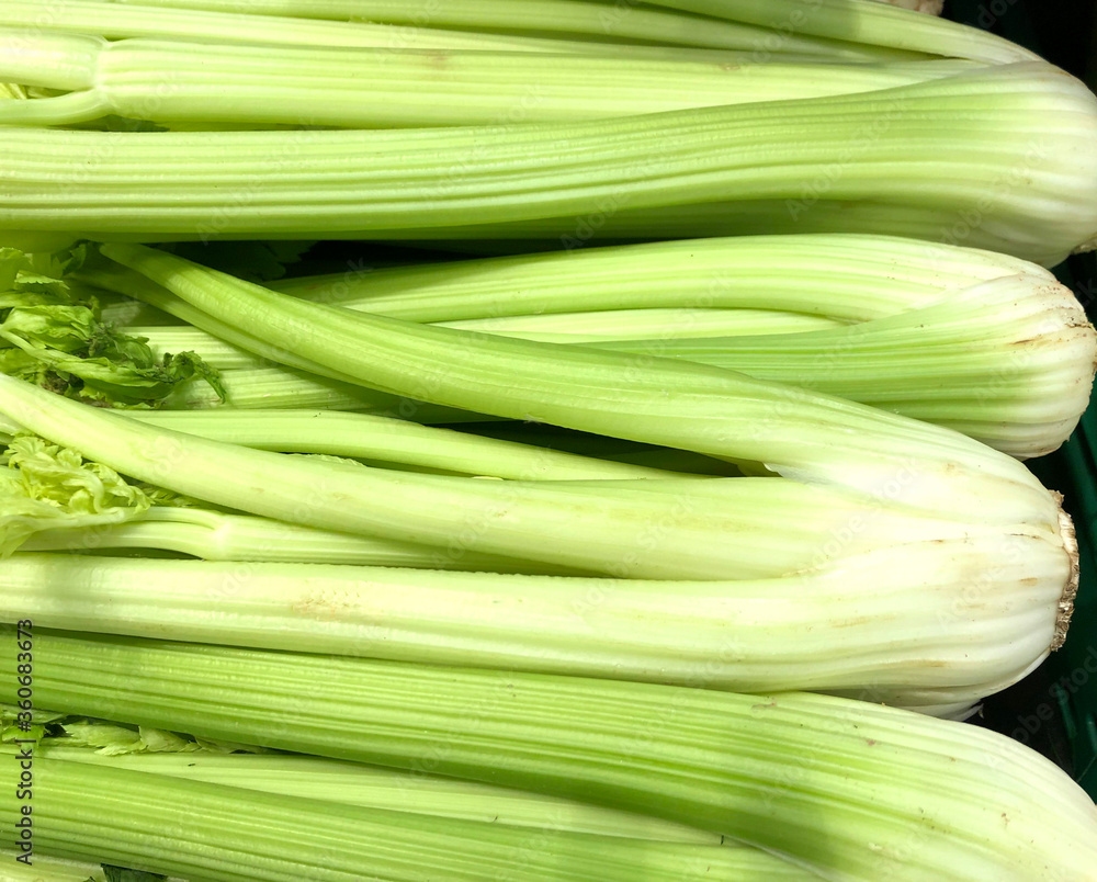 Raw, Organic, fresh celery from the market. Raw, Organic, fresh celery from the market.