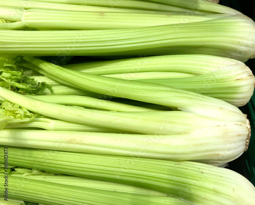 Raw, Organic, fresh celery from the market.